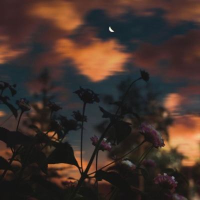 开元ky888棋牌开元登录