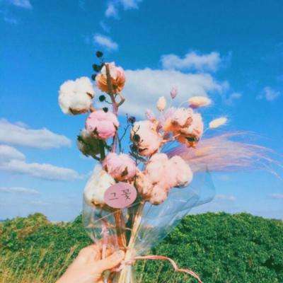 博喜体育官网截图